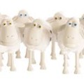 schapenen eenlingen